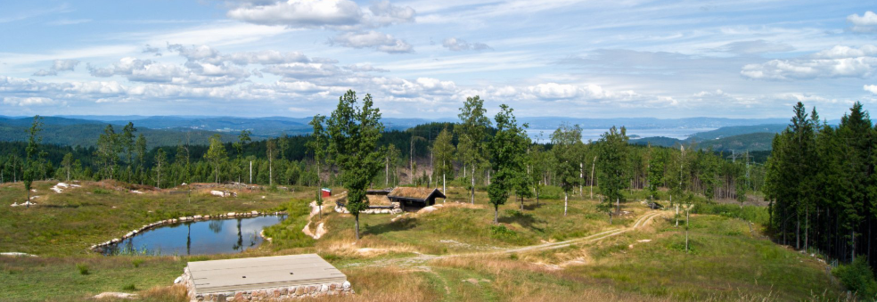 Tur til bjønnåsen